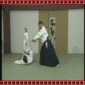 Yokomen Uchi Shomen Iriminage (2)